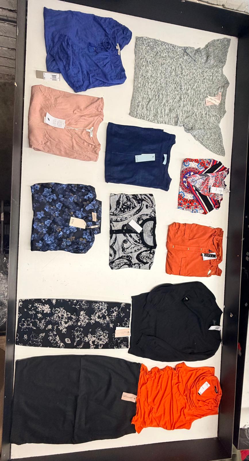 Tahari and More | Assorted Women's Apparel | NWT | 25 Pieces | Small Box #SMA-618