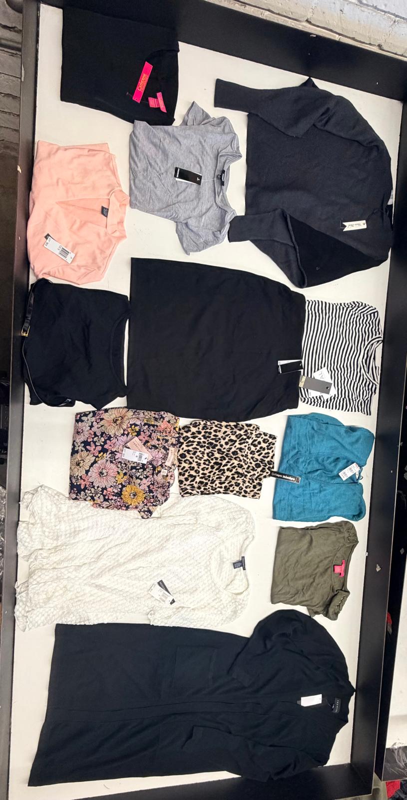 Tahari and More | Assorted Women's Apparel | NWT | 25 Pieces | Small Box #SMA-618