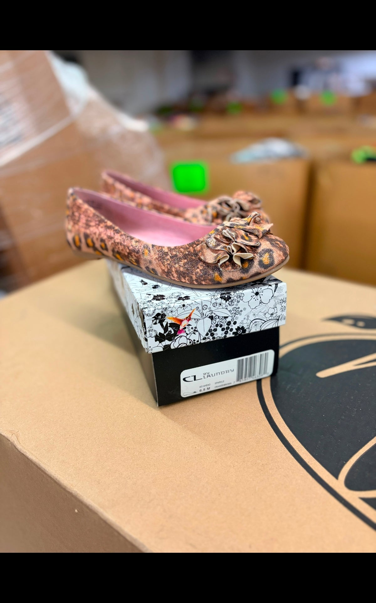 Chinese laundry womens contemporary shoes | Assorted Women's Footwear | NWT | 216 Pairs | Pallet #PA-226