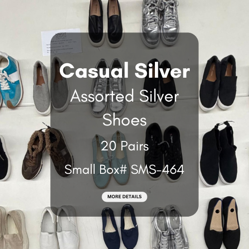 Casual Silver Shoes | Assorted Silver Shoes | 20 pairs | Small Box# SMS-464