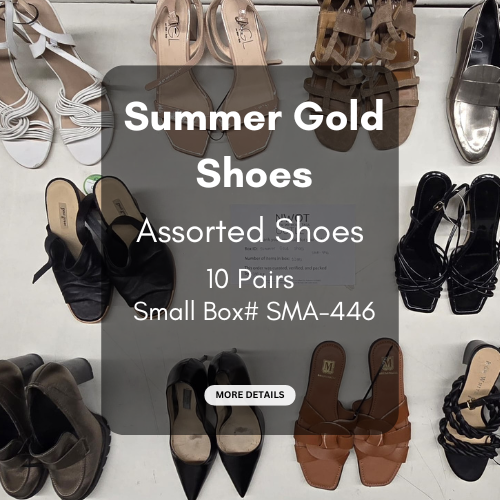 Summer Gold Shoes | Assorted Shoes | 10 pairs | Small Box# SMA-446 ...