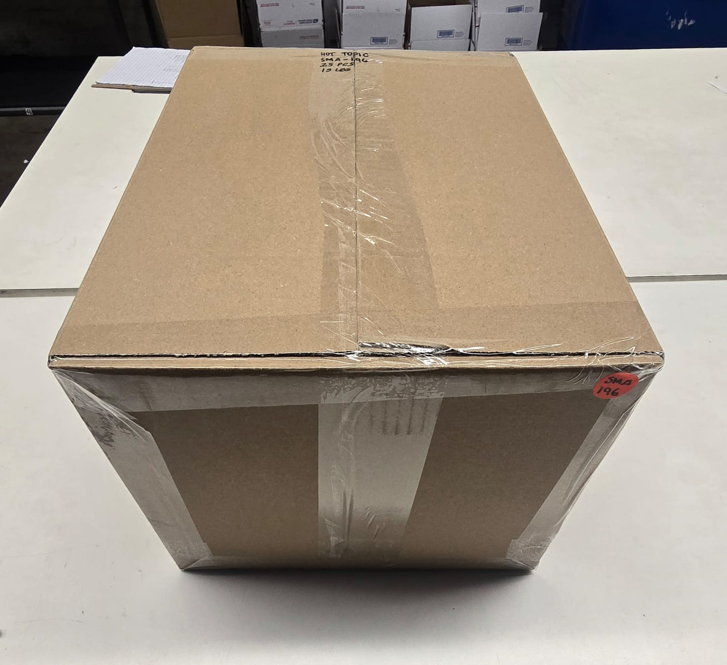 Hot Topic  | Assorted Apparel and Accessories | 25 Pieces | Small Box# SMA-196