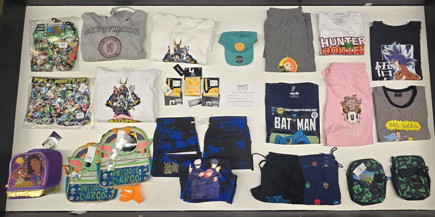 Hot Topic  | Assorted Apparel and Accessories | 25 Pieces | Small Box# SMA-196