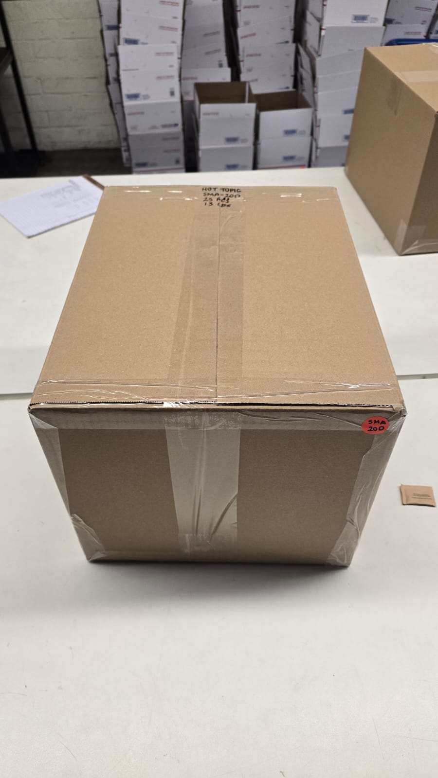 Hot Topic  | Assorted Apparel and Accessories | 25 Pieces | Small Box# SMA-200