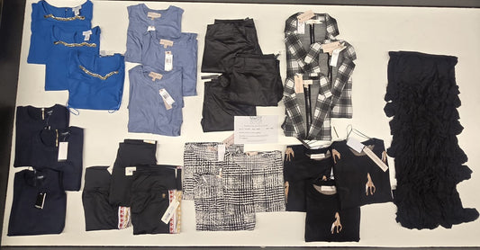 Tahari and more | Assorted  Apparel | 25 Pieces | New with Tag |Small box #SMA-404