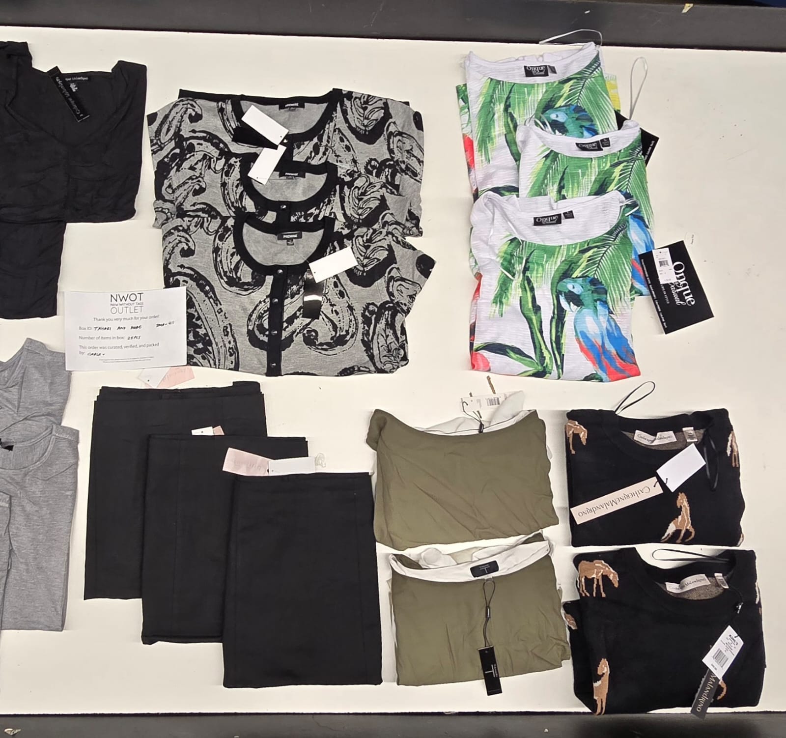 Tahari & More | Assorted Women's Apparel | 25 Pieces | New with Tag |Small box #SMA-411